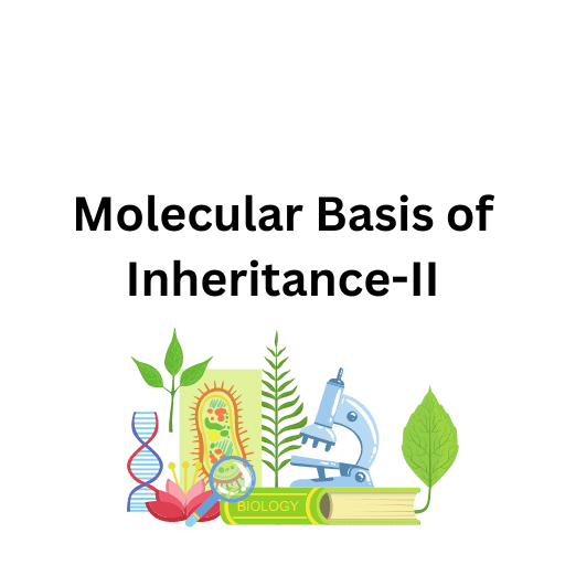 Molecular Basis of Inheritance-II